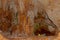 Stalagmites and stalactites of Crystal Caves in Grand Cayman