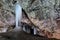 Stalagmites and stalactites inside the underground glacier in Scarisoara glacier cave.