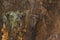 Stalagmites and stalactites in Resava cave, Serbia