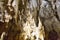 Stalagmites and stalactites in Ruakuri Cave, Waitomo, New Zealand