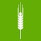 Stalk of ripe barley icon green