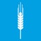 Stalk of ripe barley icon white