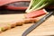 Stalks of freshly grown Forced rhubarb