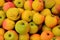 Stall of apples at the market of Lyons la Foret in Normandie