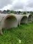 Stalled urban drainage culverts, overgrown with weeds