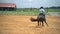 Stallion brown horse run at ranch. Slow motion shot of horse rider outback at farmhouse. Western cowboy concept at