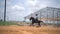Stallion brown horse run at ranch. Slow motion shot of horse rider outback at farmhouse. Western cowboy concept at