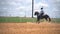 Stallion brown horse run at ranch. Slow motion shot of horse rider outback at farmhouse. Western cowboy concept at