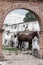 Stallions (Equus caballus) tethered to a weathered wall seen from a red, brick stone gate