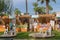 Stalls and displays at Gastronomico food festival in Benicarlo, Spain