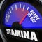 Stamina Fuel Gauge Drive Power Energy Increase