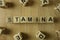 Stamina word from wooden blocks