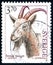 Stamp 3.70 Swedish crowns printed by Sweden, shows domestic animal Allmogeget Goat Capra aegagrus hircus,