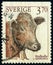 Stamp 3.70 Swedish crowns printed by Sweden, shows domestic animal Red poll cow Bos primigenius taurus,