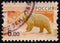 Stamp 6 Russian ruble printed by Russian Federation, shows animal Brown Bear Ursus arctos, circa 2008