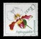 Stamp issued in Germany - Democratic Republic DDR shows blooming Paphiopedilum or Venus slipper flower