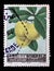 Stamp issued in the Lebanon shows Plums, Fruits - Plants Flora series