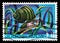 Stamp issued in Yugoslavia shows River Snail Viviparus viviparus, Animals in Wetlands series