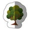 stamp natural tree icon