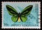 Stamp from Papua New Guinea shows Common Green Birdwing Ornithoptera priamus ssp. poseidon