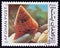 A stamp printed in Afghanistan shows Calliostoma z