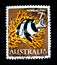 A stamp printed in Australia shows an image of Humbug fish on value at 7 cent.