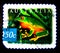 A stamp printed in Australia shows an image of orange thighed tree frog on value at 50 cent.