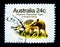 A stamp printed in Australia shows an image of Thylacine Tasmanian tiger on value at 24 cent.