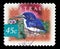 Stamp printed in the Australia shows Little Kingfisher