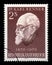 Stamp printed in Austria shows Karl Renner