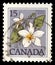 Stamp printed in Canada shows Flower: Canada violet