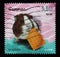 A stamp printed in Croatia shows Guinea Pig Cavia porcellus, series, Children`s World - Pets