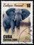 Stamp printed in Cuba shows elephant