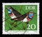 Stamp printed in GDR shows bird Bluethroat