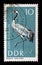 Stamp printed in GDR shows Common Crane