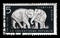 Stamp printed in GDR shows Elephant, Berlin, German Zoological Garden