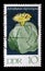 Stamp printed in GDR shows Hamatocactus setispinus, Flowering Cactus Plant