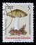 Stamp printed in GDR shows image of the Entoloma sinuatum