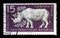 Stamp printed in GDR shows Rhinoceros, Berlin, German Zoological Garden