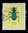 Stamp printed in Germany from the Useful Beetles issue shows Green Tiger beetle