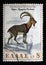 Stamp printed in Greece shows Cretan Wild Goat (Capra aegagrus cretensis)  series European Nature Conservation Year