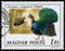 Stamp printed in Hungary shows Congo peafowl