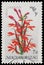 Stamp printed in Hungary, shows Flower Lobella cardinalis