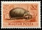 Stamp printed in Hungary shows Hedgehog, Erinaceinae
