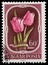 Stamp printed in Hungary shows Tulip