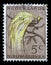 Stamp printed in Netherlands New Guinea shows Lesser Bird-of-paradise Paradisaea minor