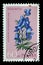 Stamp printed in Poland shows Monkshood Aconitum callibotryon, Protected flowers, series