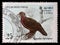 Stamp printed in the Republic of Sri Lanka shows the Ceylon wood pigeon