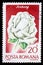 Stamp printed in Romania shows image of an iceberg rose