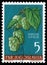 Stamp printed in Yugoslavia shows common hop